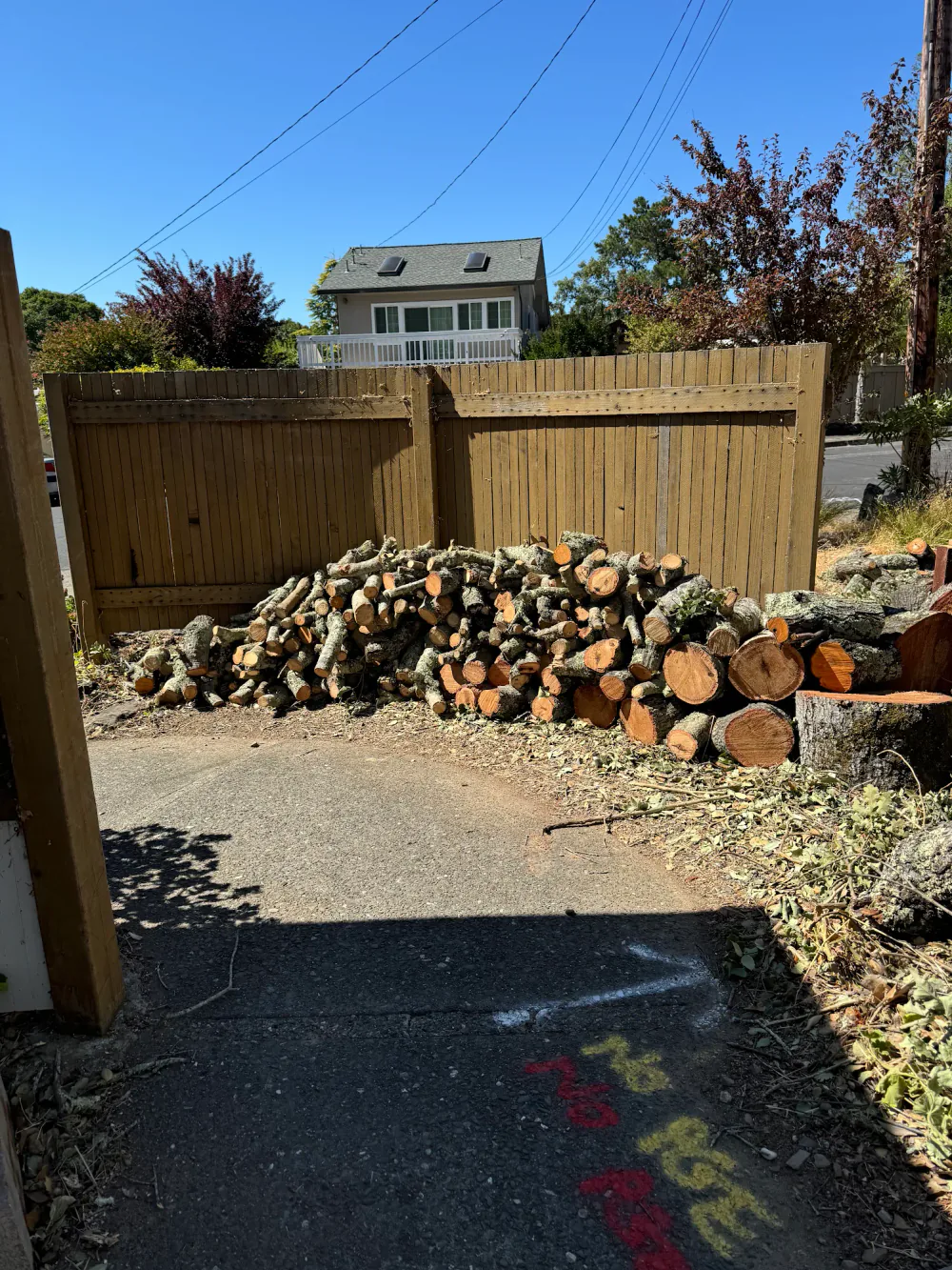 Firewood saved from the tree after removal