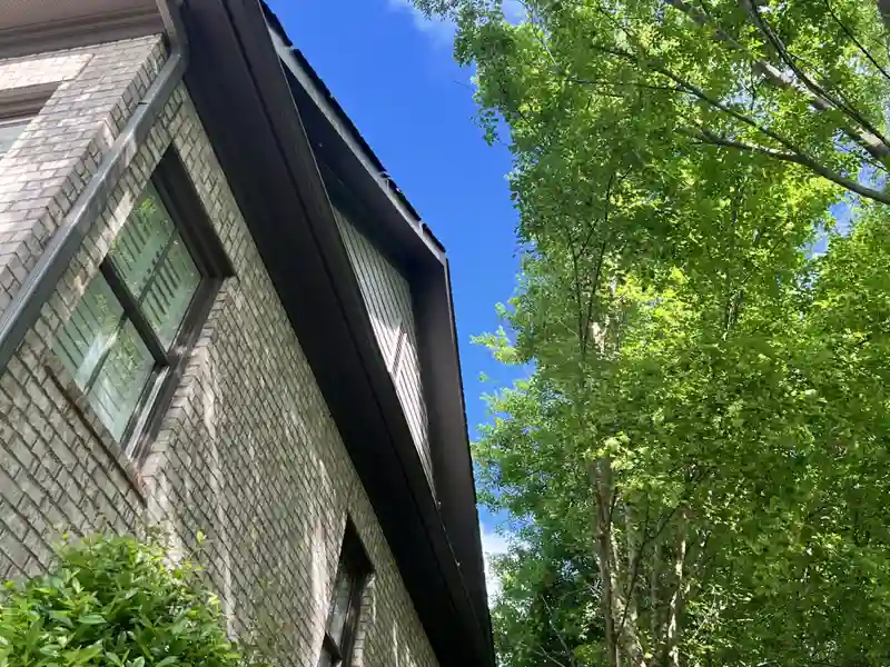 Balanced canopy and clean yard after tree trimming